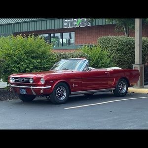 Meet your Posher, Dixie